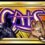 cats slot machine pic